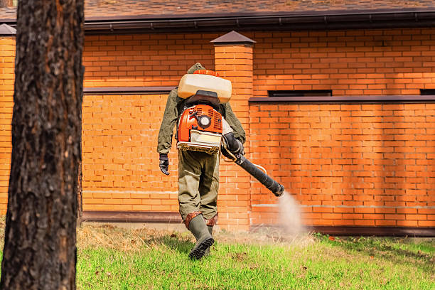 Trusted Mosquito Control service in Trexlertown, PA - Nex Pest Control